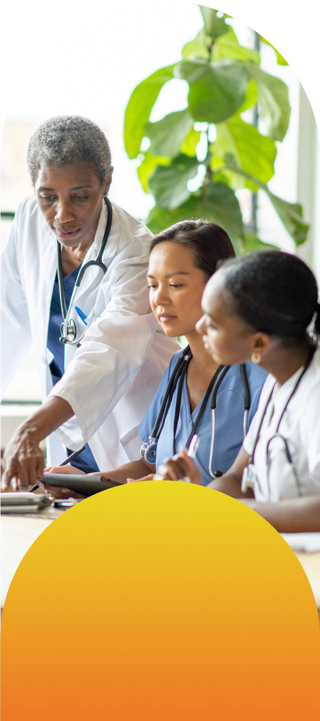 Three people looing at a some reports